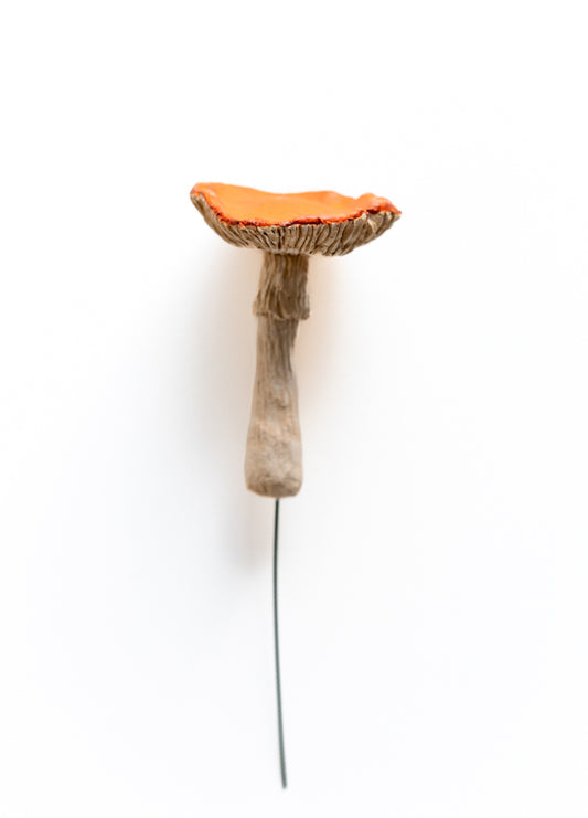 SOLD fungi 012 - handmade clay mushroom