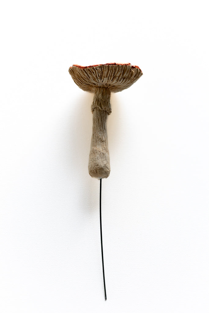 SOLD fungi 012 - handmade clay mushroom