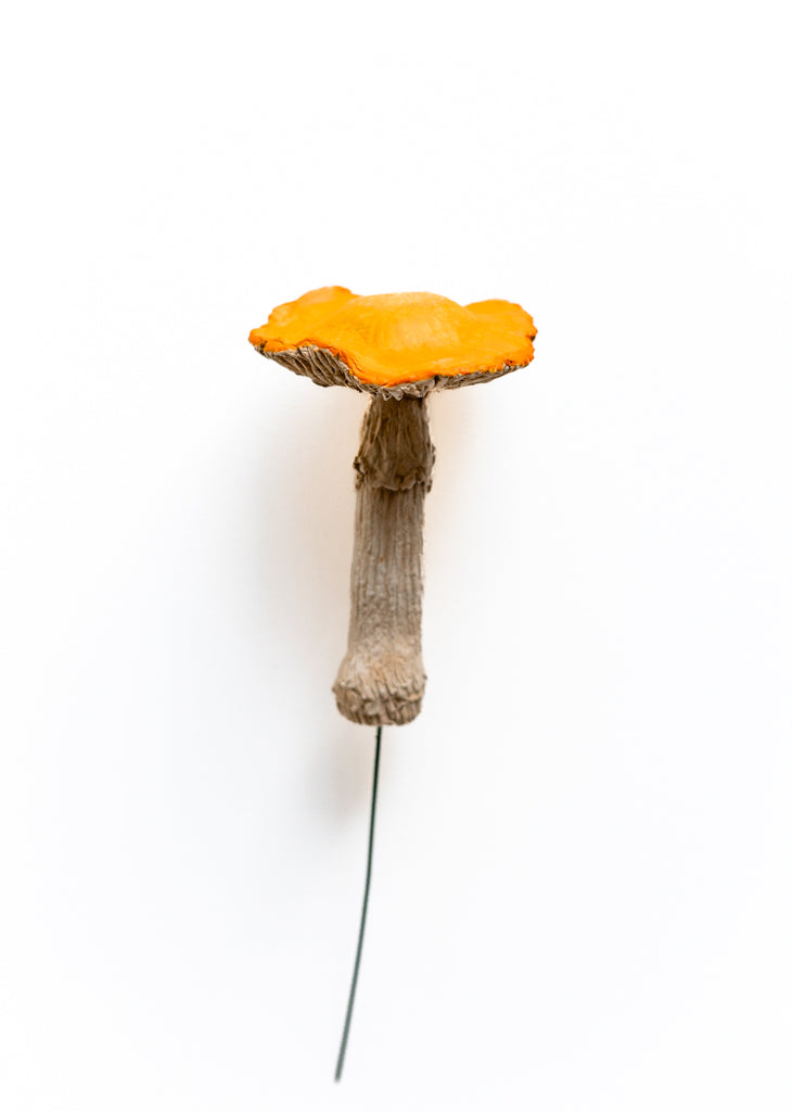 SOLD fungi 012 - handmade clay mushroom