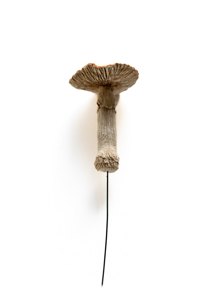SOLD fungi 012 - handmade clay mushroom