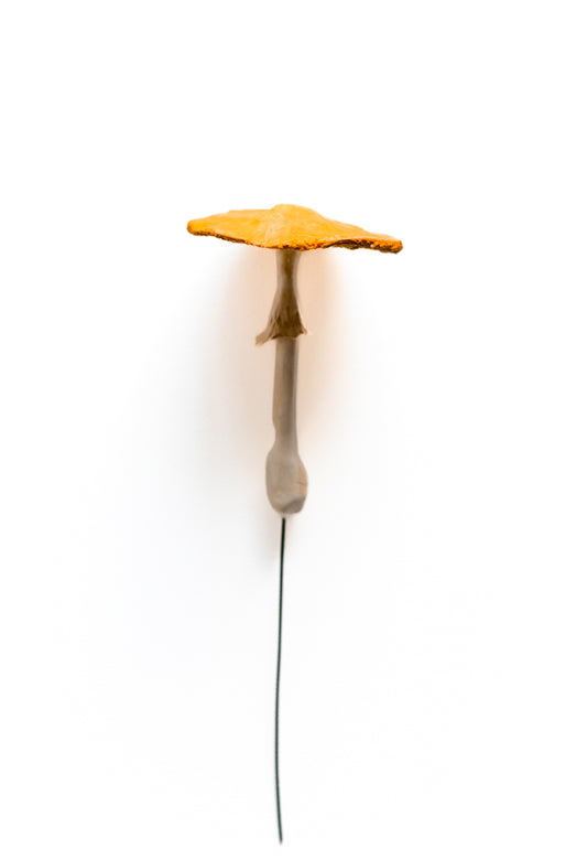 SOLD fungi 013 - handmade clay mushroom