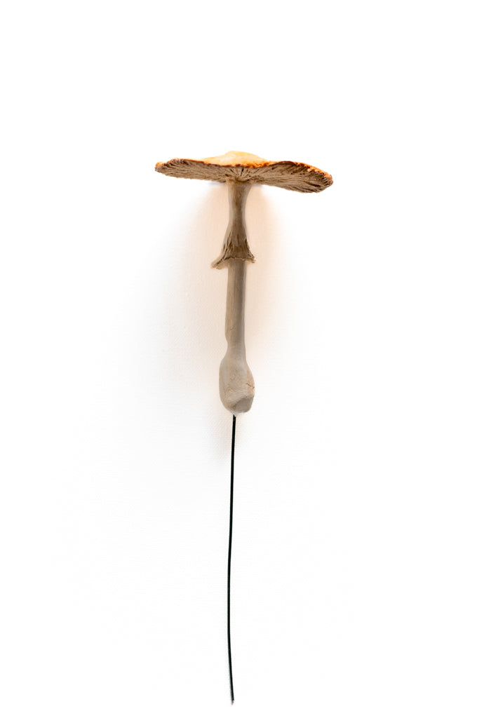 SOLD fungi 013 - handmade clay mushroom