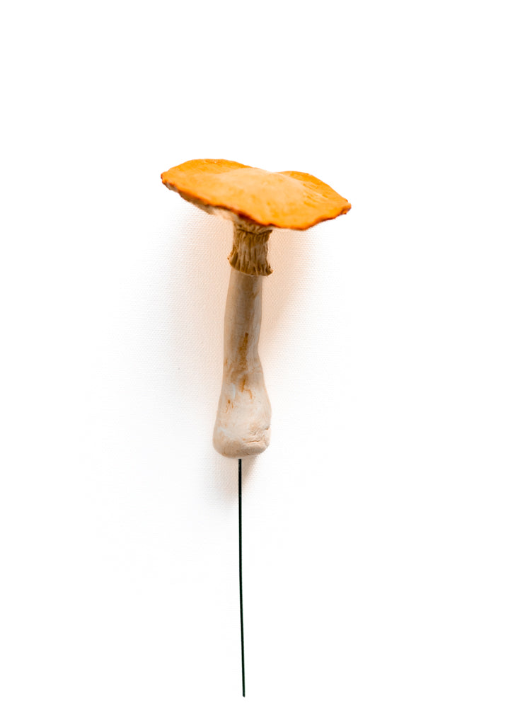 SOLD fungi 013 - handmade clay mushroom