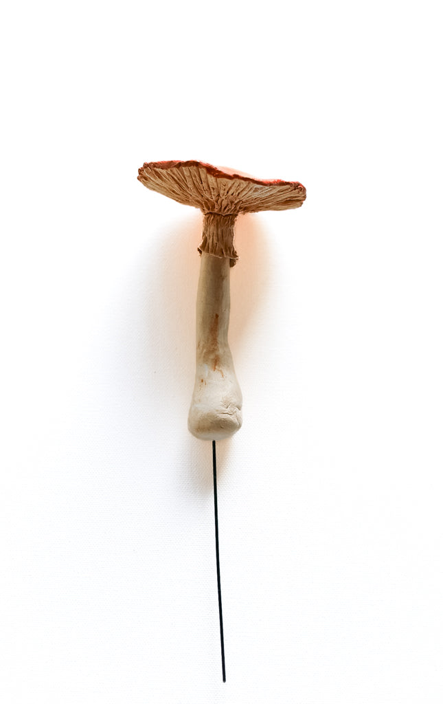 SOLD fungi 013 - handmade clay mushroom