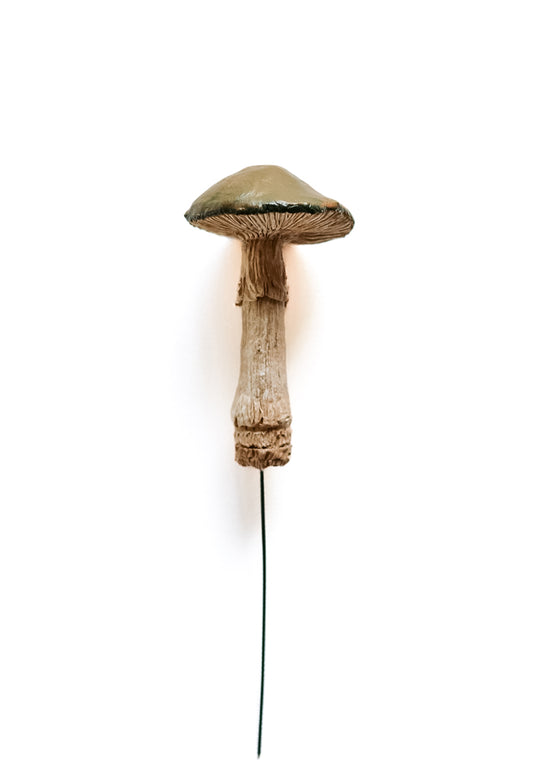 SOLD fungi 014 - handmade clay mushroom