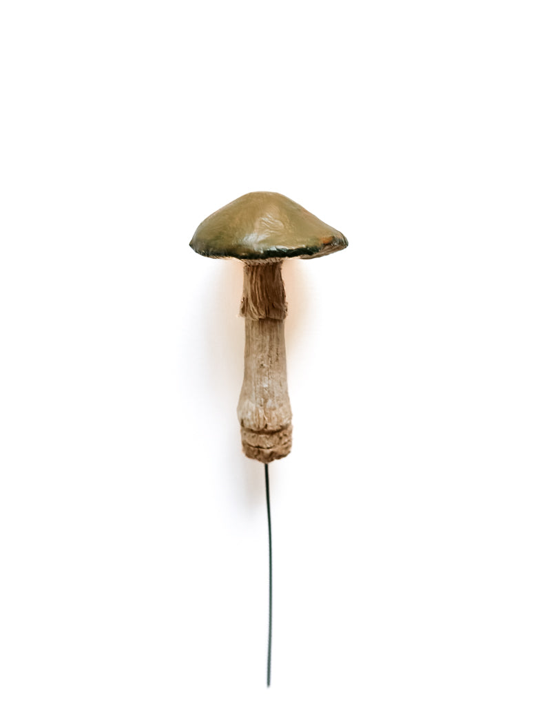 SOLD fungi 014 - handmade clay mushroom