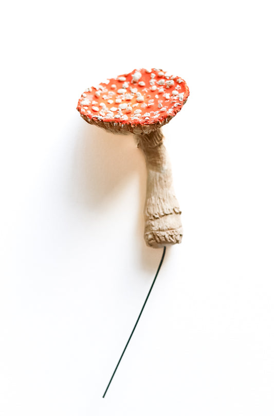 SOLD fungi 014 - handmade clay mushroom