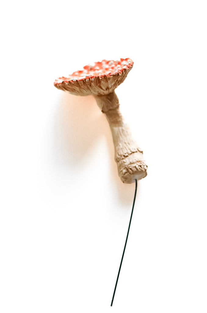 SOLD fungi 014 - handmade clay mushroom