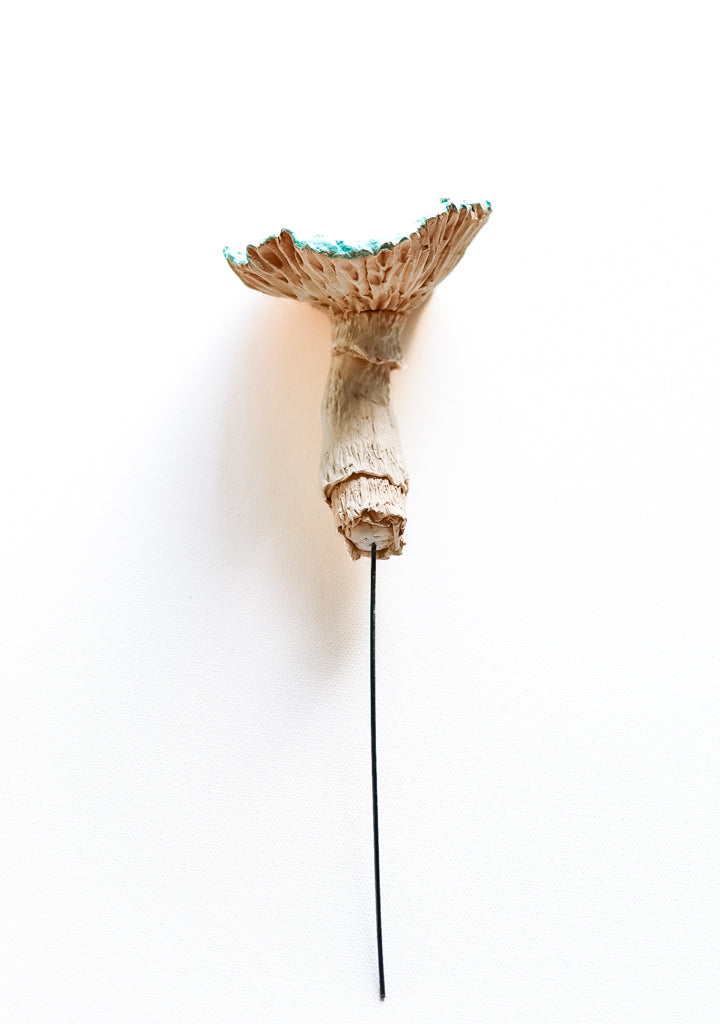 fungi 01 - handmade clay mushroom