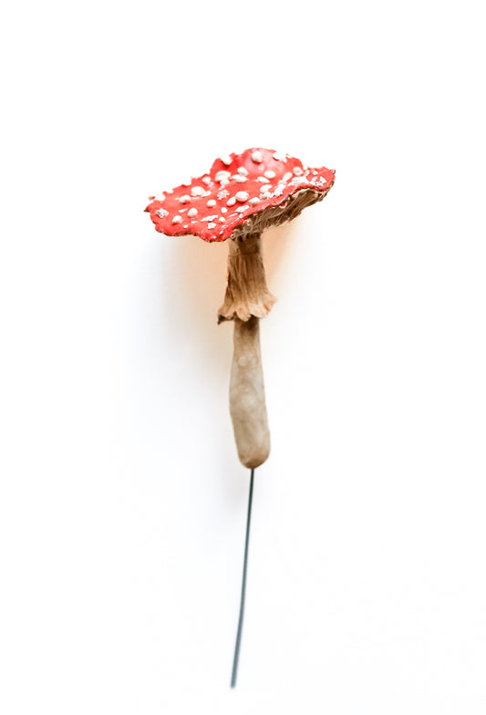 SOLD fungi 015 - handmade clay mushroom