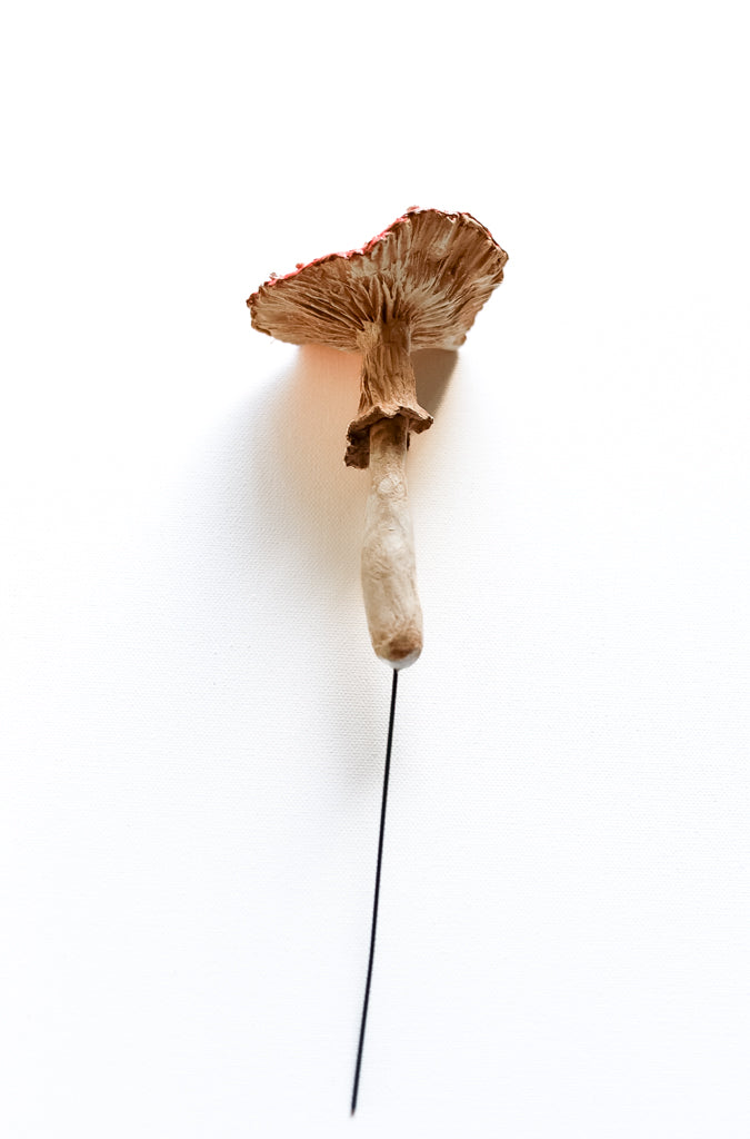 SOLD fungi 015 - handmade clay mushroom