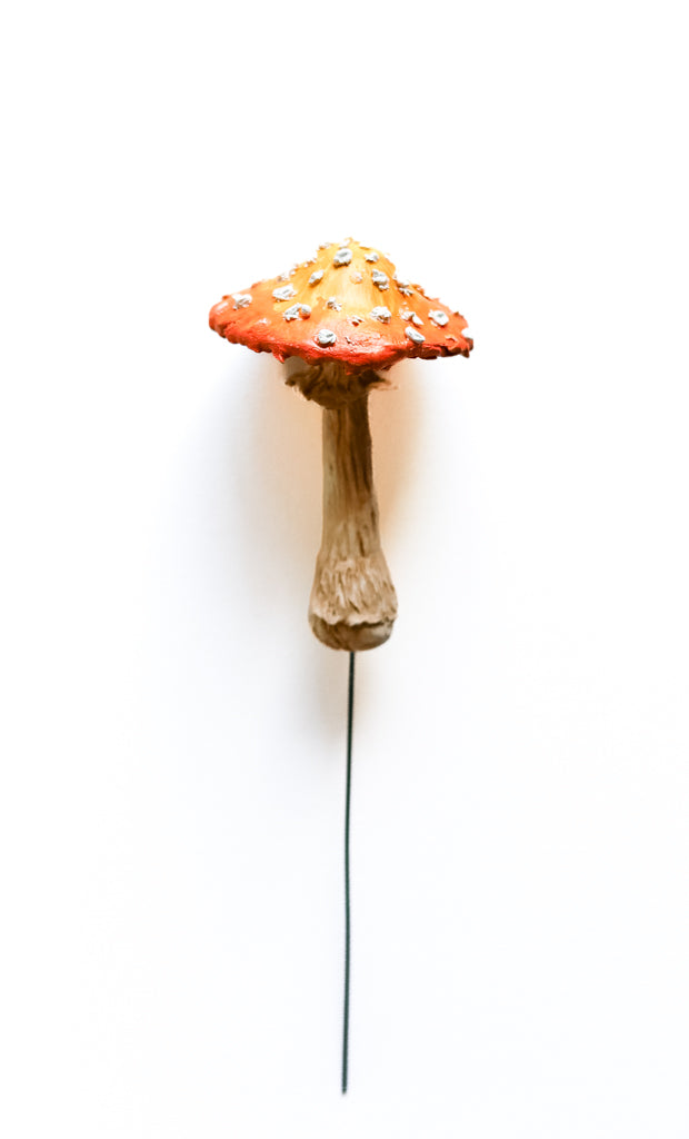 SOLD fungi 016 - handmade clay mushroom