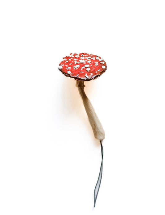 SOLD fungi 017 - handmade clay mushroom