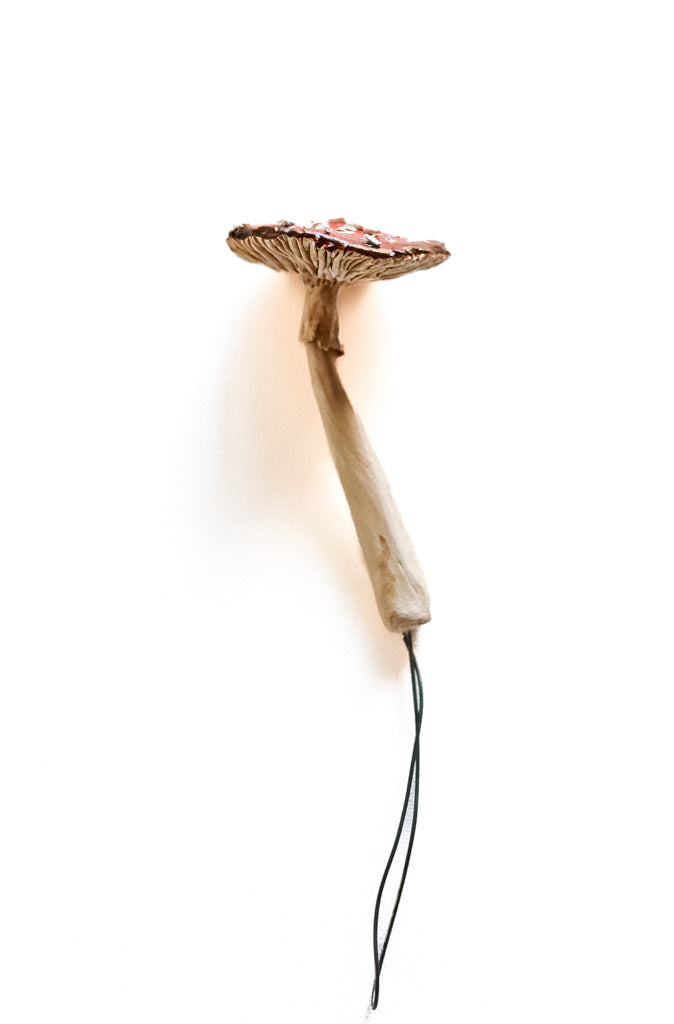 SOLD fungi 017 - handmade clay mushroom