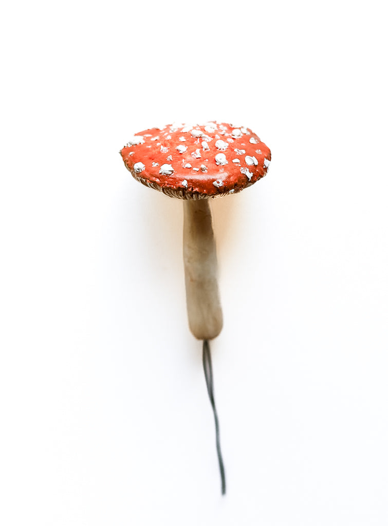 SOLD fungi 018 - handmade clay mushroom