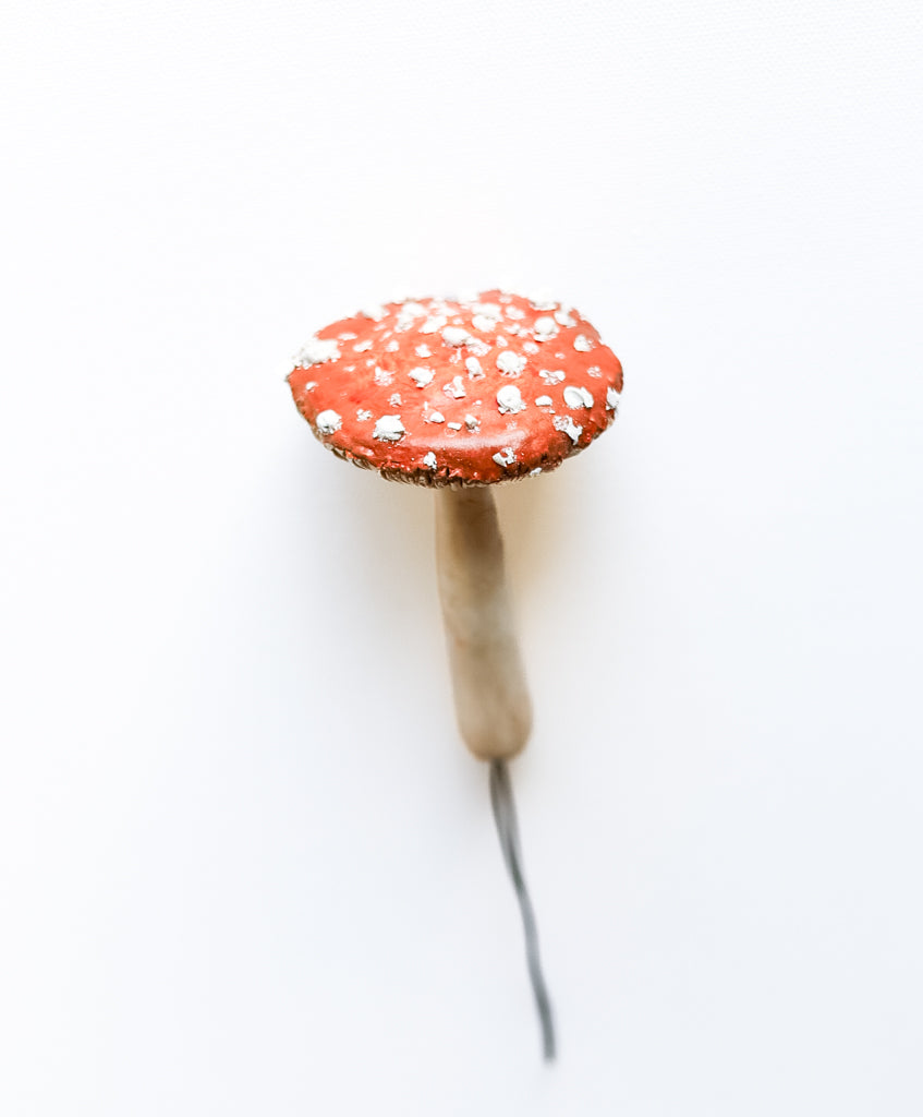 SOLD fungi 018 - handmade clay mushroom