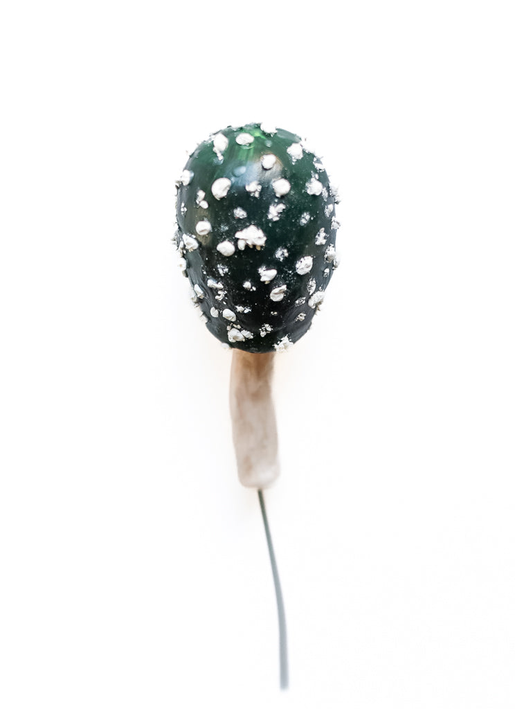 fungi 02 - handmade clay mushroom