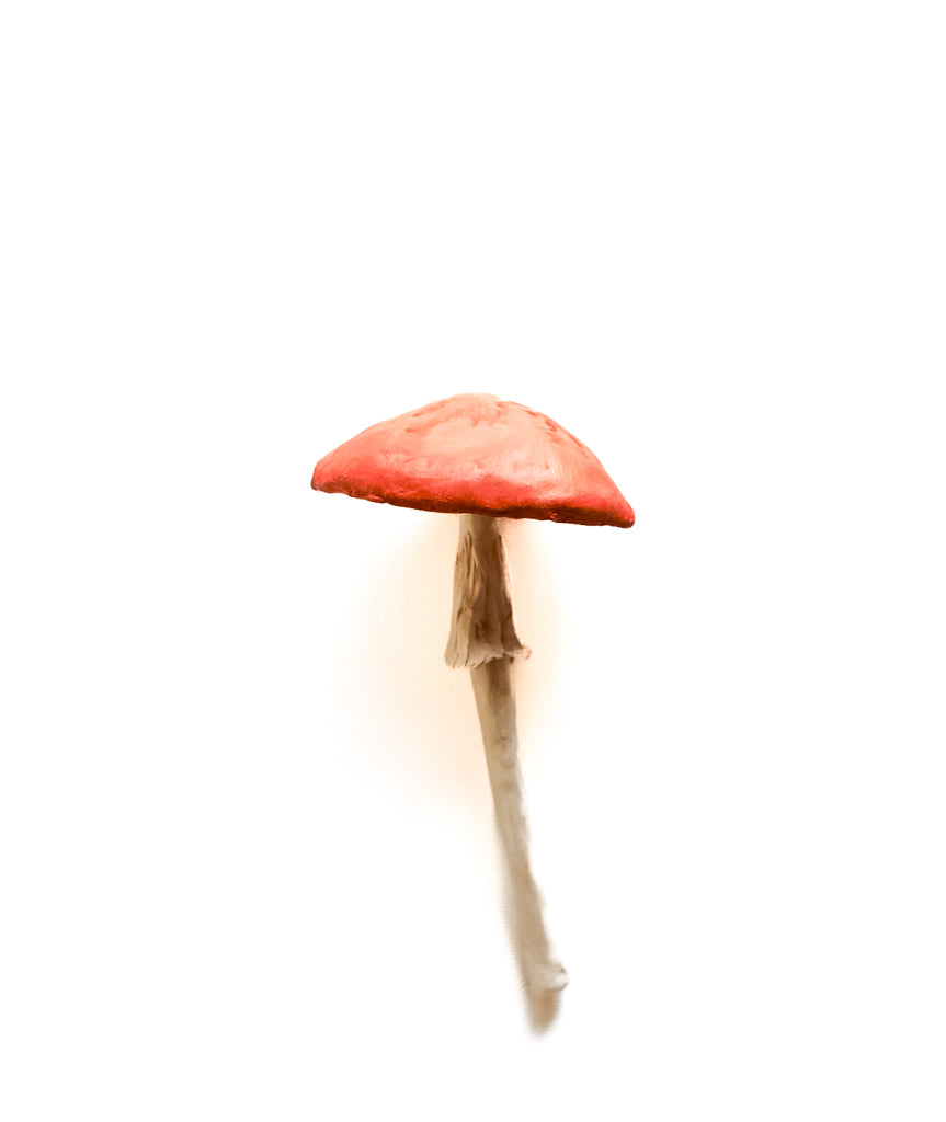 SOLD fungi 019 - handmade clay mushroom