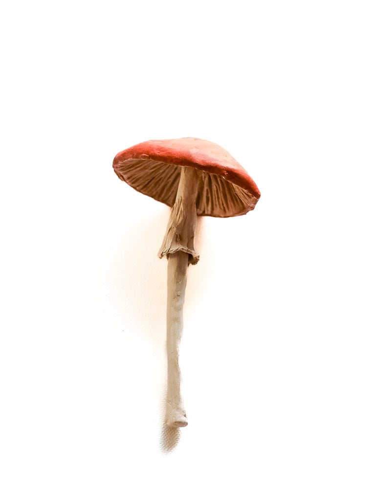 SOLD fungi 019 - handmade clay mushroom