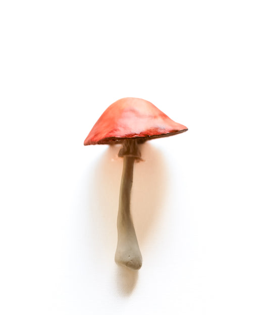 SOLD fungi 020 - handmade clay mushroom