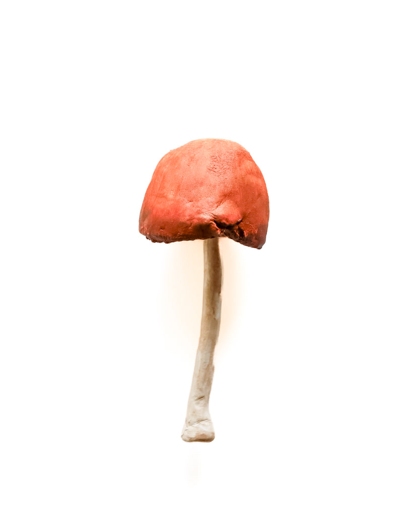 SOLD fungi 021 - handmade clay mushroom