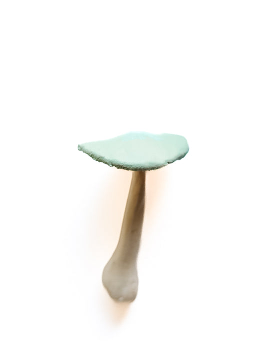 SOLD fungi 023 - handmade clay mushroom