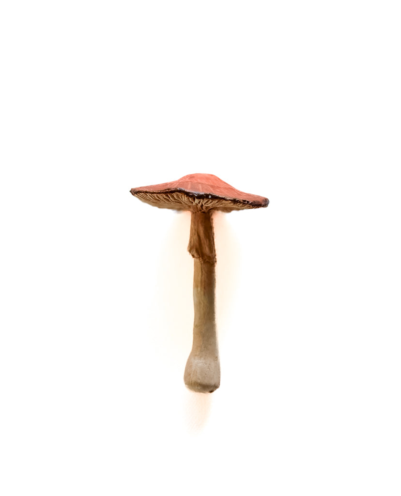 SOLD fungi 024 - handmade clay mushroom