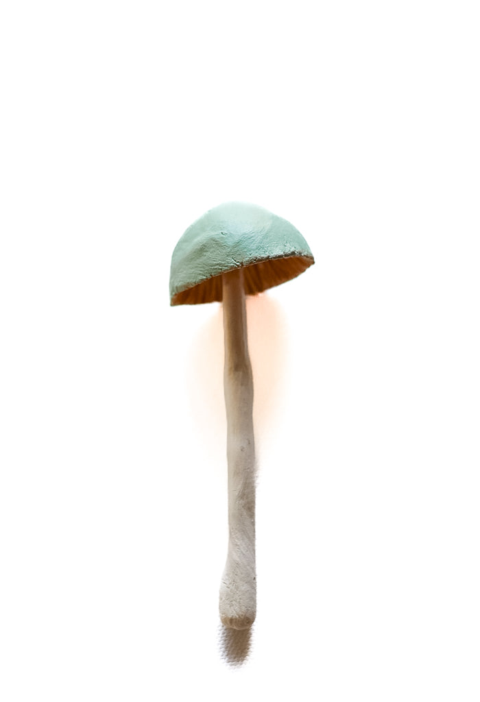 SOLD fungi 028 - handmade clay mushroom