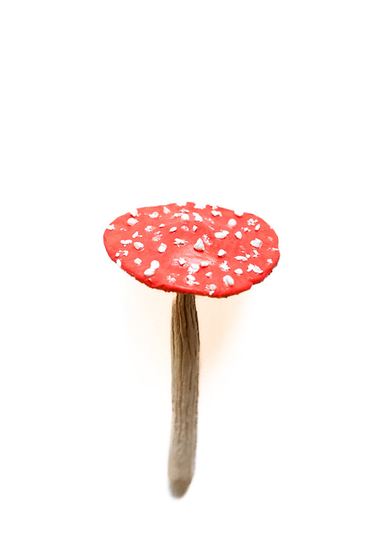 SOLD fungi 027 - handmade clay mushroom