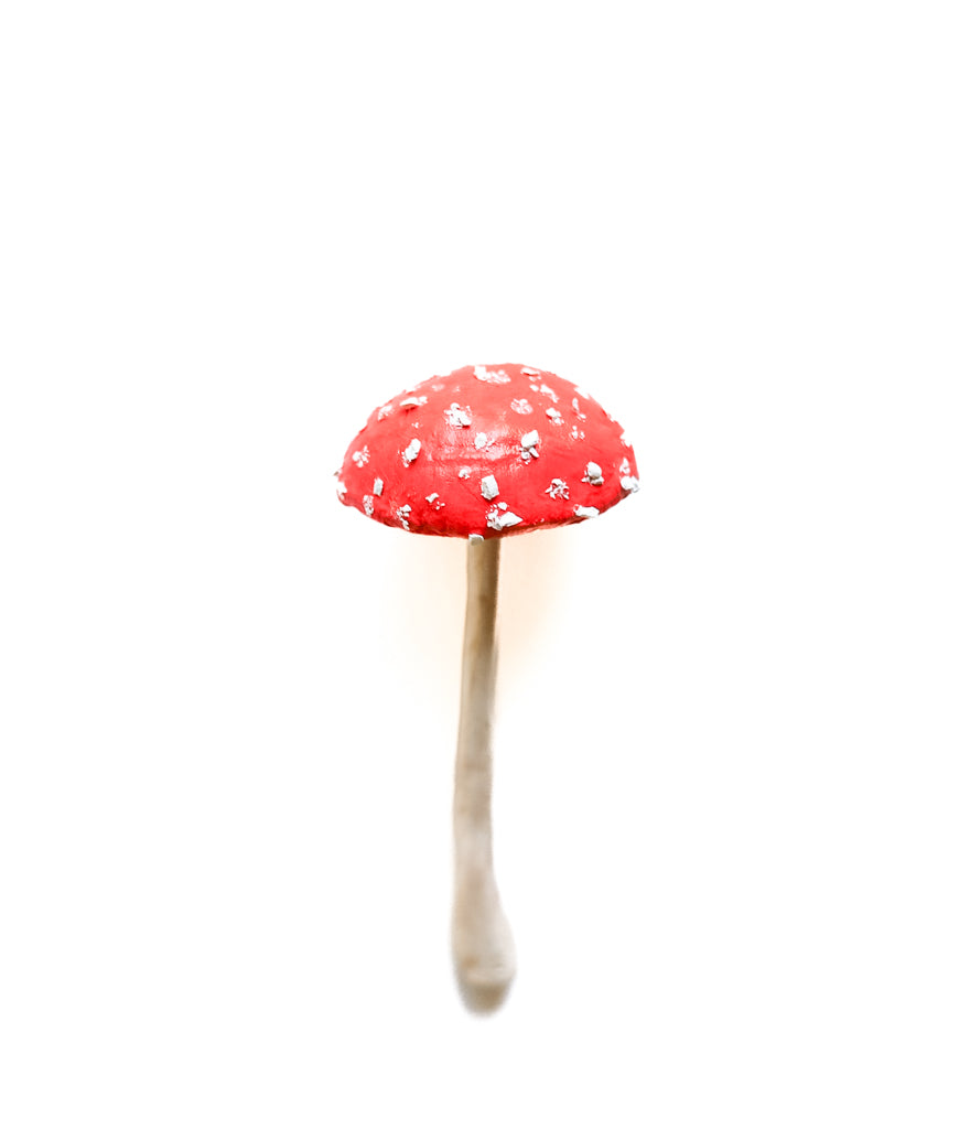 SOLD fungi 030 - handmade clay mushroom