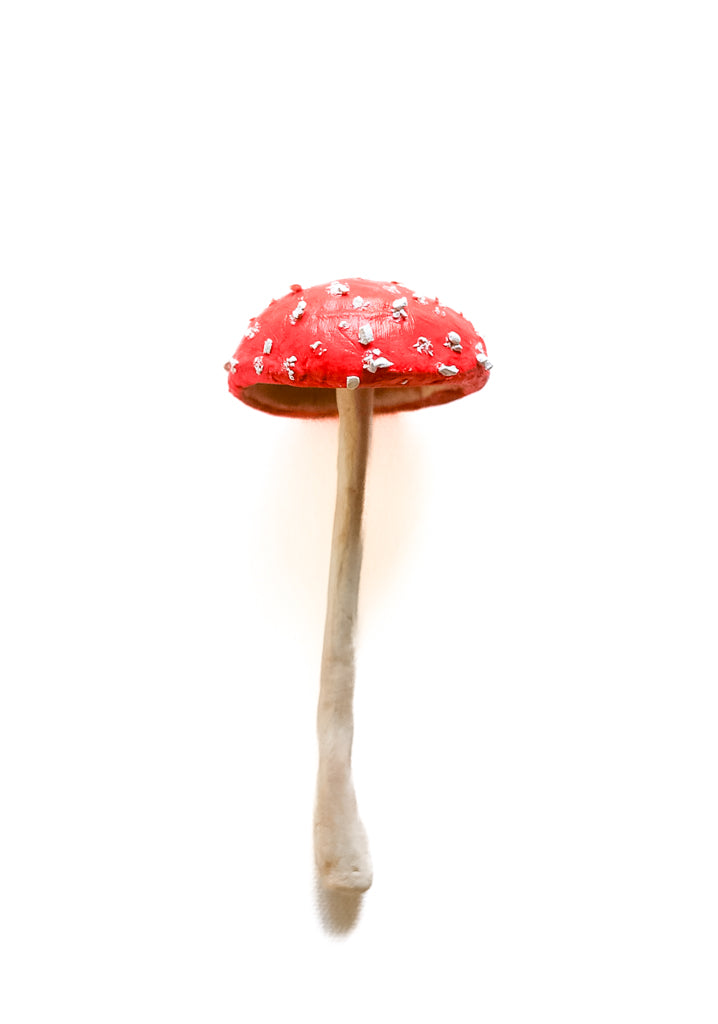SOLD fungi 030 - handmade clay mushroom