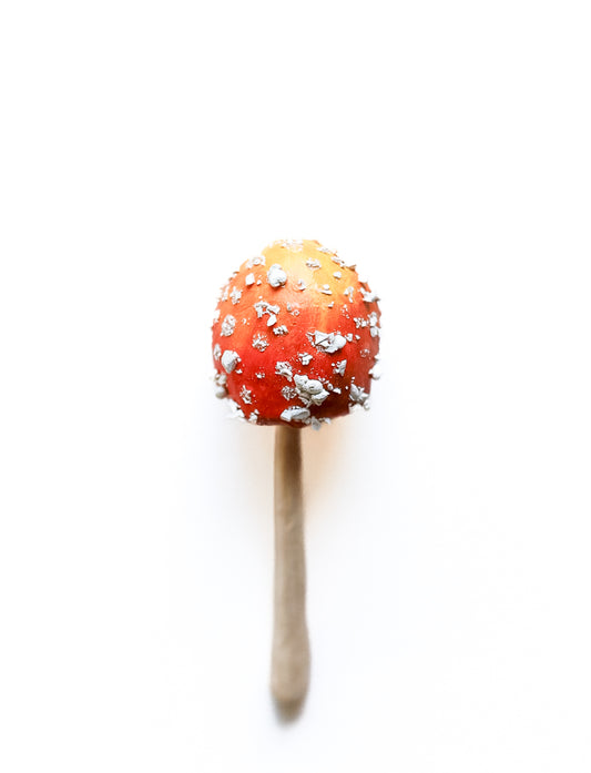 SOLD fungi 032 - handmade clay mushroom
