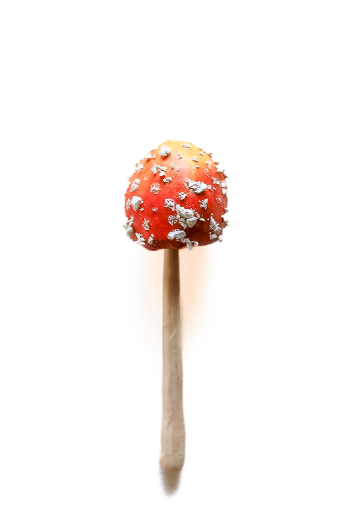 SOLD fungi 032 - handmade clay mushroom