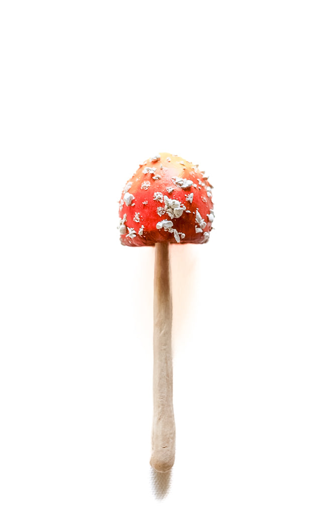 SOLD fungi 032 - handmade clay mushroom