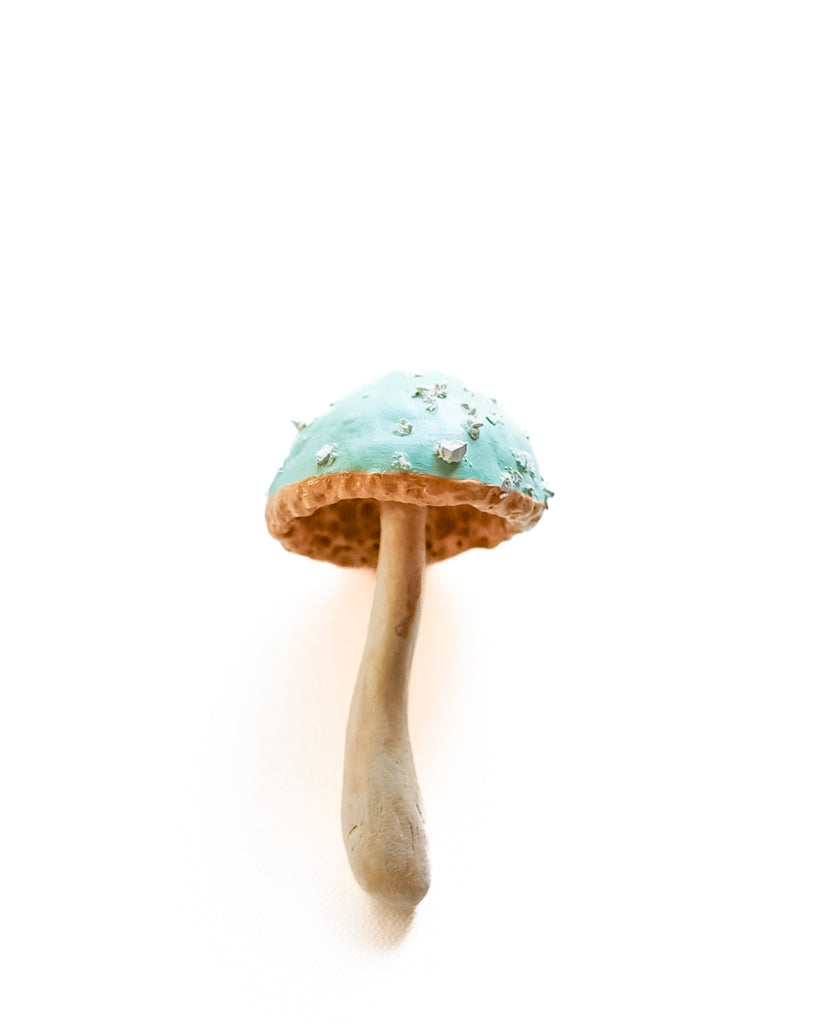 SOLD fungi 034 - handmade clay mushroom
