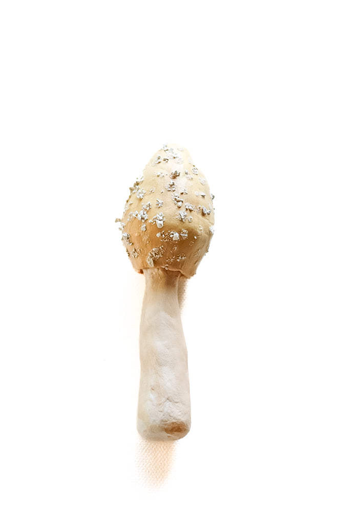 SOLD fungi 037 - handmade clay mushroom