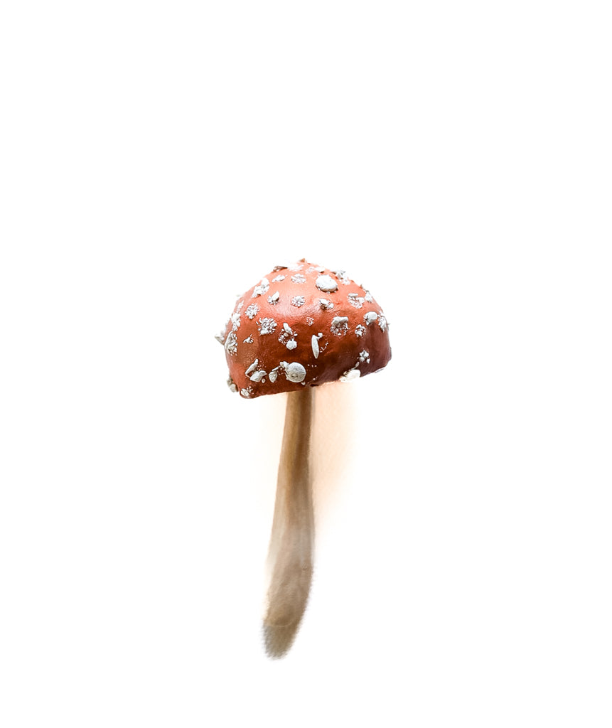 SOLD fungi 038 - handmade clay mushroom
