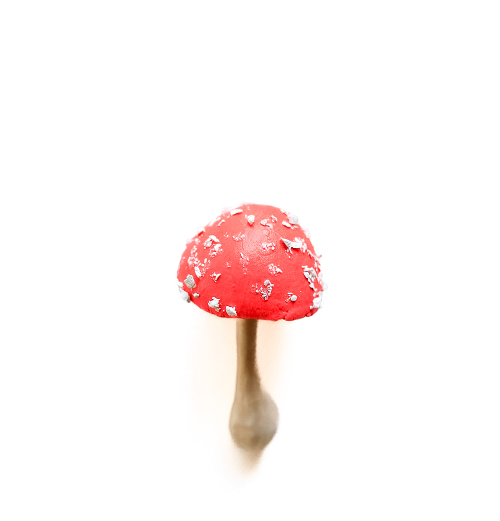 SOLD fungi 039 - handmade clay mushroom
