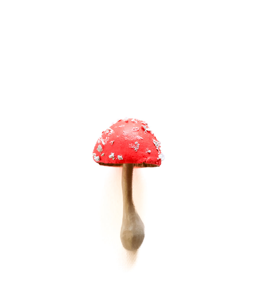 SOLD fungi 039 - handmade clay mushroom