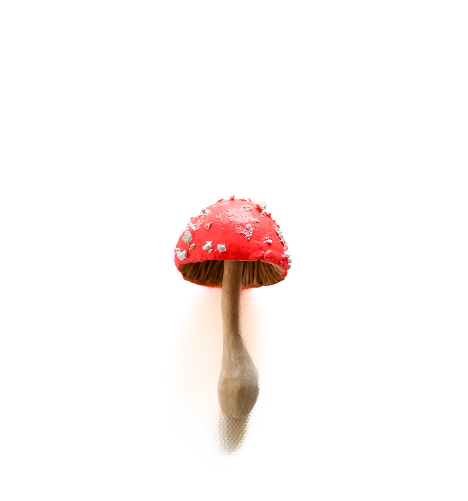 SOLD fungi 039 - handmade clay mushroom