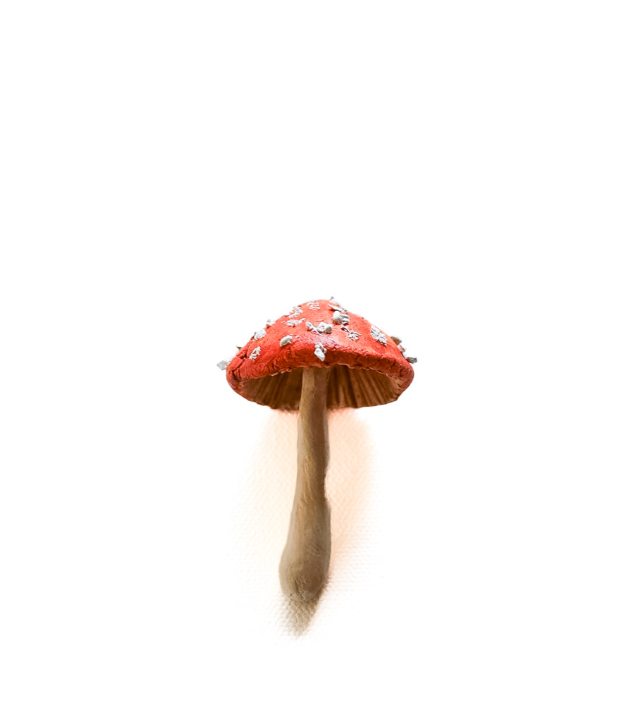 SOLD fungi 040 - handmade clay mushroom