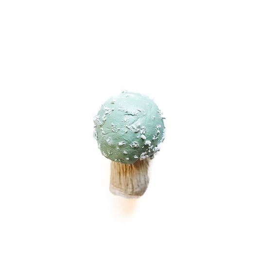 SOLD fungi 041 - handmade clay mushroom