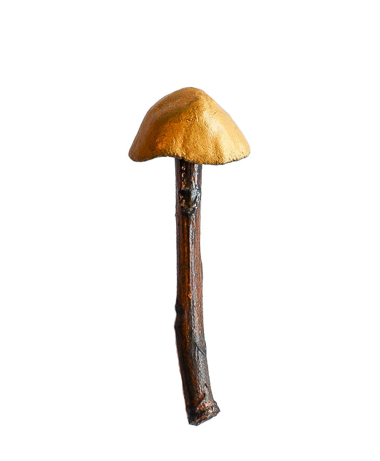 SOLD clay and wood mushroom sculpture 3 by Emma Lee Fleury