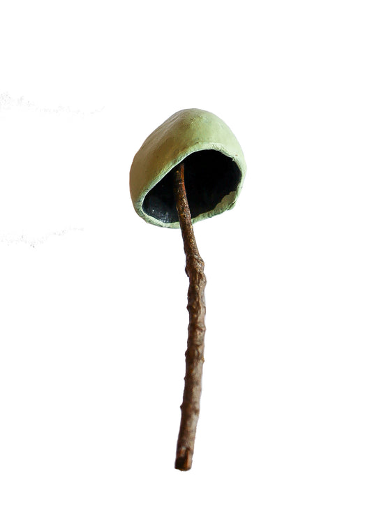 SOLD clay and wood mushroom sculpture 5 by Emma Lee Fleury