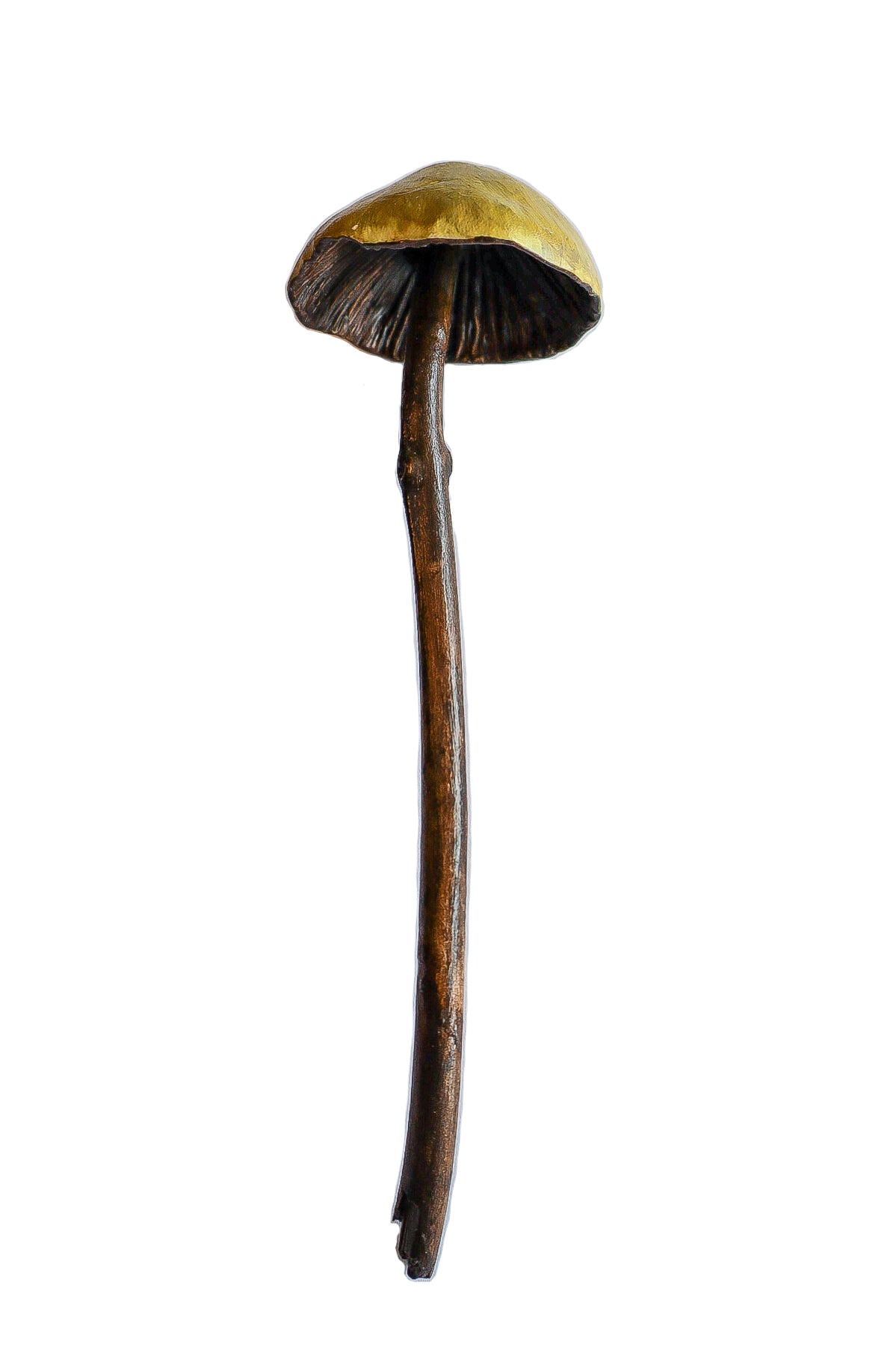 SOLD clay and wood mushroom sculpture 11 by Emma Lee Fleury