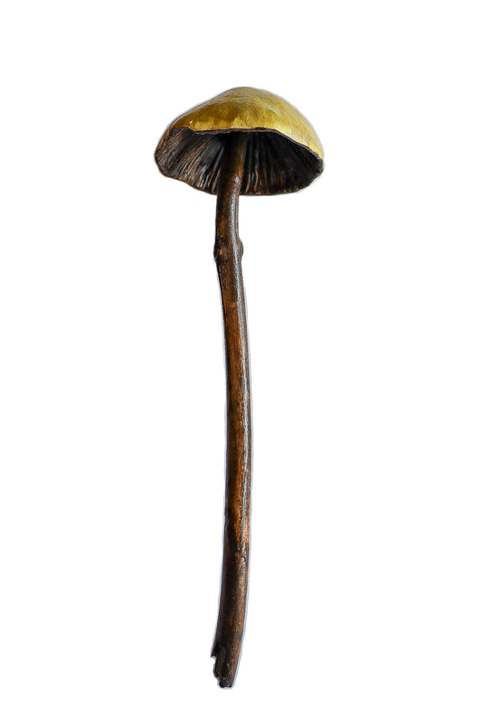 SOLD clay and wood mushroom sculpture 11 by Emma Lee Fleury
