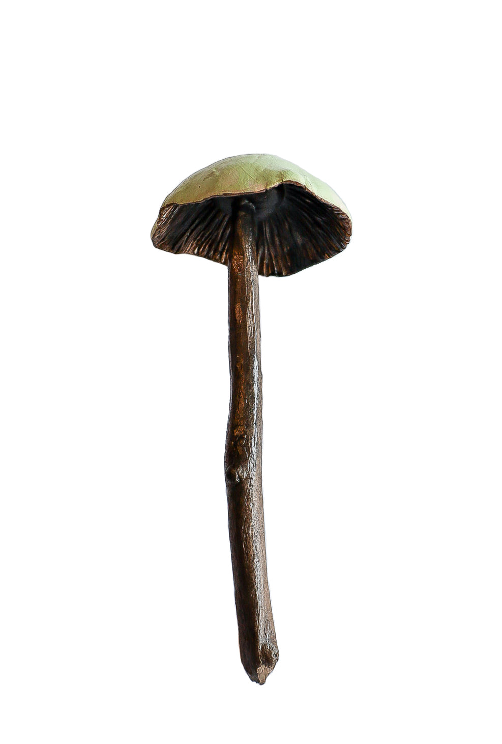 SOLD clay and wood mushroom sculpture 12 by Emma Lee Fleury