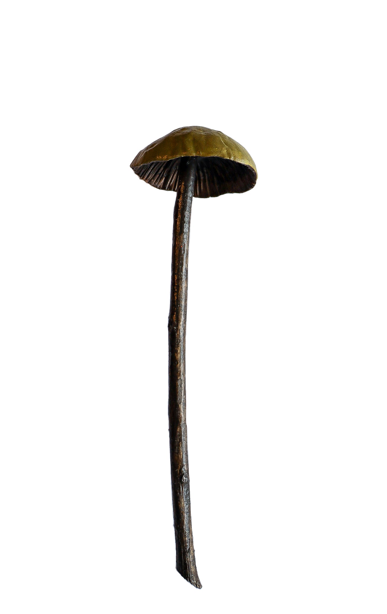 SOLD clay and wood mushroom sculpture 14 by Emma Lee Fleury