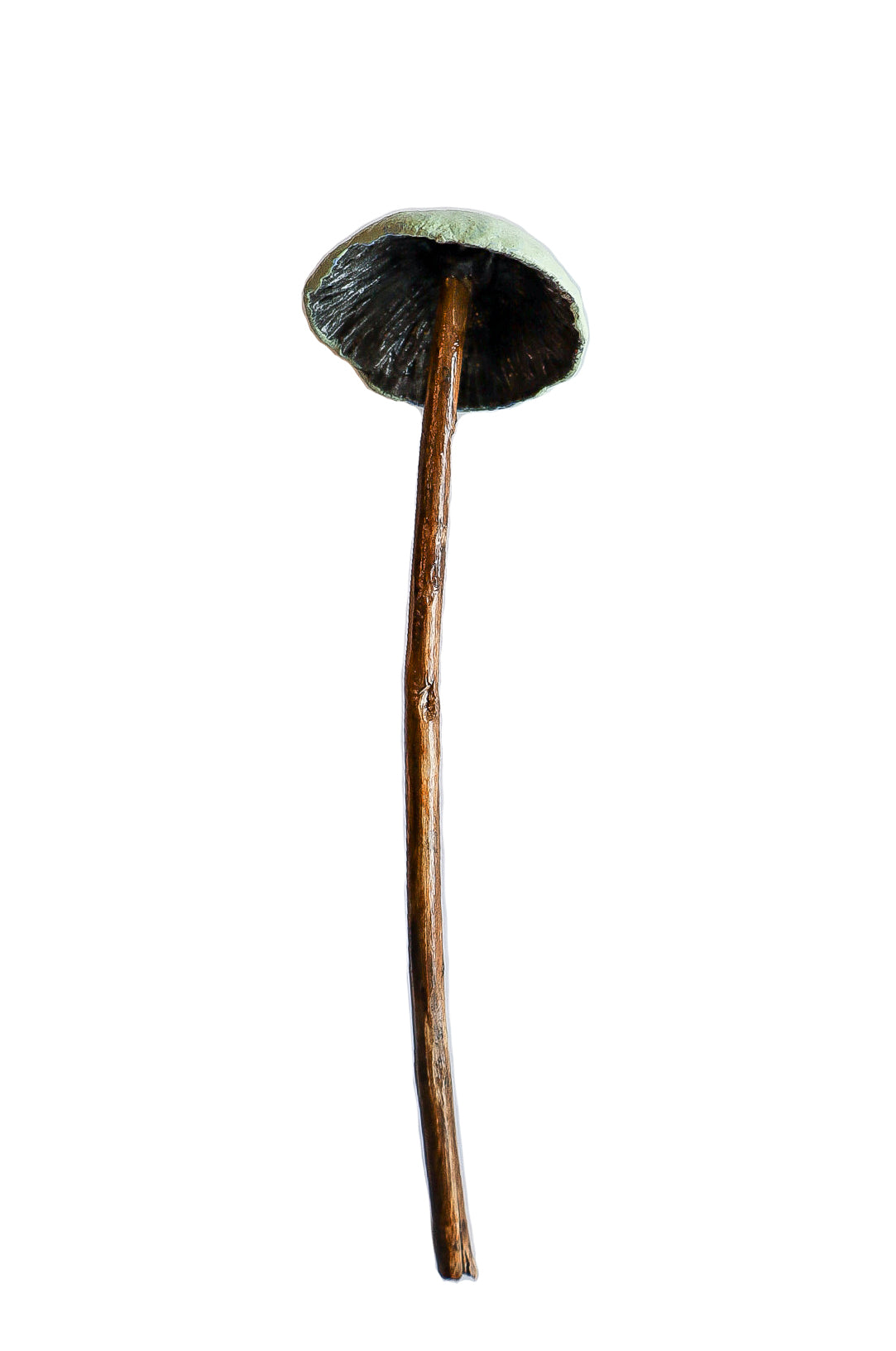 SOLD clay and wood mushroom sculpture 15 by Emma Lee Fleury
