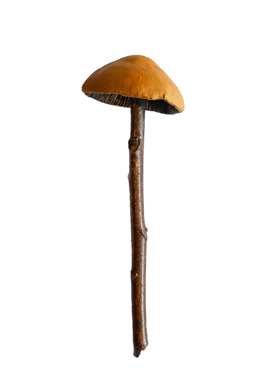 SOLD clay and wood mushroom sculpture 17 by Emma Lee Fleury